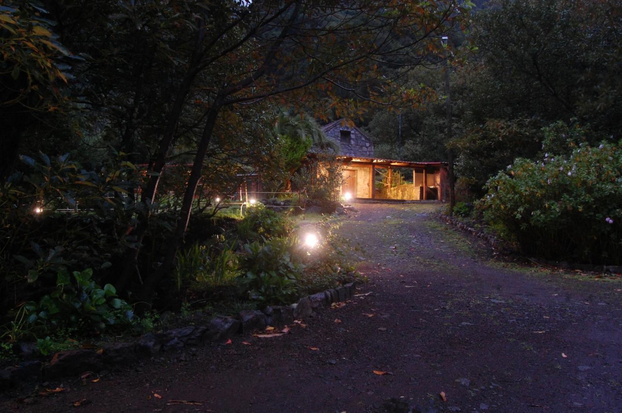 Nature Retreat - Laurel Forest Сейшал Екстер'єр фото